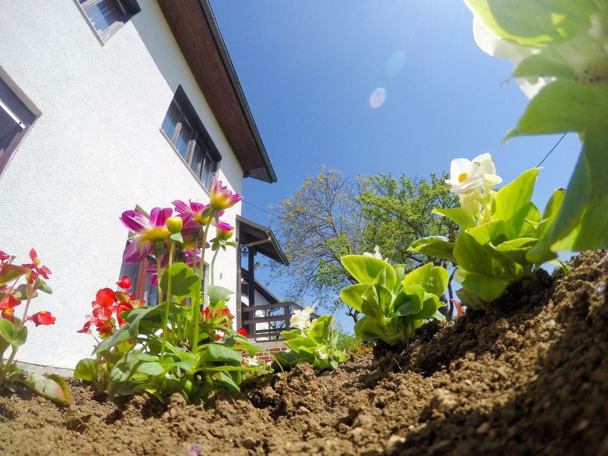 Cherry House Appartement Slunj Buitenkant foto